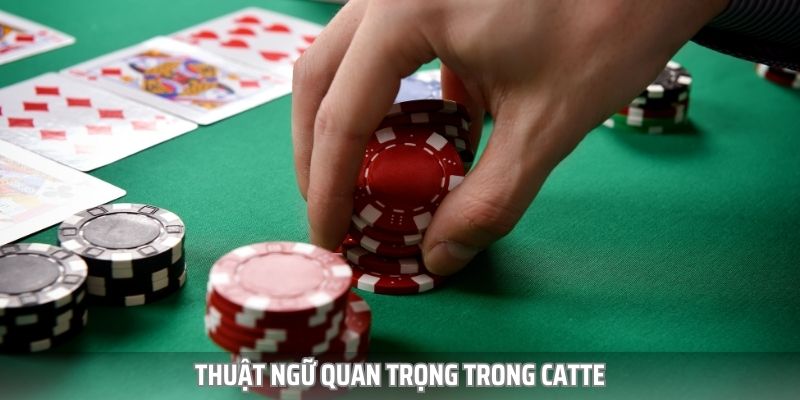 quy-dinh-nhan-catte-789-club Quy Trình Nhận Catte 789club